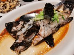 -徐记海鲜(大明宫|北二环店)