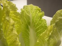 娃娃菜-半天妖烤鱼(西直门凯德mall店)