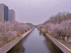 -海棠花溪(元大都城垣遗址公园)