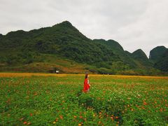 -靖西鹅泉风景区