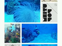 -常州海昌海洋探索馆