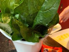 菠菜-渝利重庆火锅