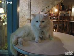 -Babycat私家御饼屋(龙头路一店)