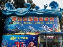 -左海海底世界