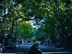 -浙江大学(玉泉校区)