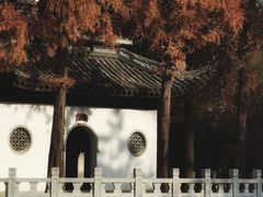 -汇龙潭