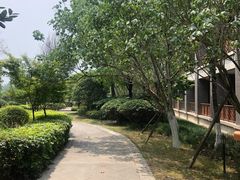 -成都安仁福朋喜来登酒店