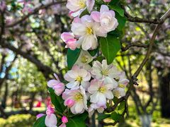 -元大都城垣遗址公园