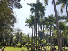 -中国科学院西双版纳热带植物园
