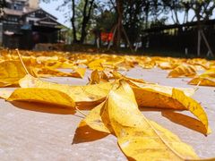 -湖广会馆-东水门及古城墙