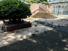 -九龙公园
