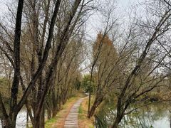 -西溪国家湿地公园