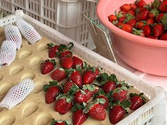 -南坛综合农贸市场