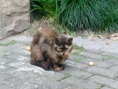 -苏州河梦清园环保主题公园