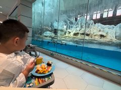 -帝企鹅自助餐厅•儿童岛•真企鹅(长隆企鹅酒店)