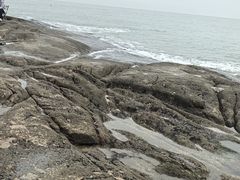 -日照灯塔风景区