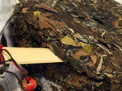 -泽明社