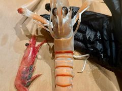 -锦鲤铁板烧日本料理(致越优城店)