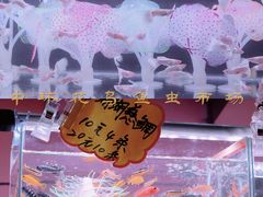 -中环花鸟鱼虫市场