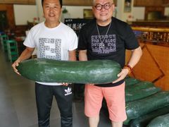 -翟辉冬瓜盅火锅(南村万博店)