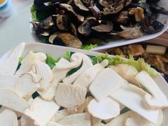 -爱膳菌锅锅(阳南店)