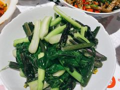 -壹盏灯(惠农店)
