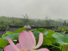 -牛首山文化旅游区