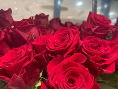 -ROSEONLY诺誓(广州K11店)