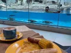 -帝企鹅自助餐厅•儿童岛•真企鹅(长隆企鹅酒店)