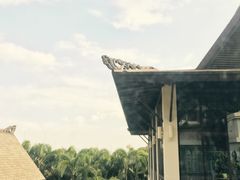 -厦门日月谷温泉渡假村