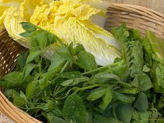 豌豆尖-龙继斑鱼庄(犀浦店)