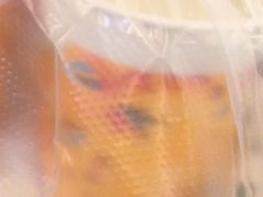 -1点点(康王中路店)