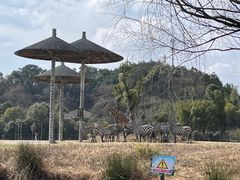 -宁波野生动物园
