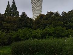 -上海滨江森林公园