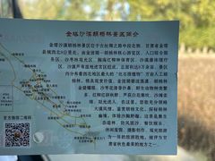 -金塔沙漠胡杨林景区