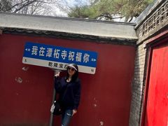 -潭柘寺景区