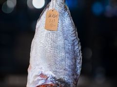 -海钓船(国际游艇汇店)