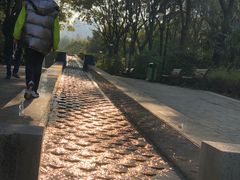 -苏州河梦清园环保主题公园