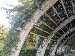 -文华公园(禅城区)