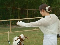 -云幽谷旅游区