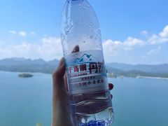 -千岛湖忆湖度假酒店(中心湖景区店)