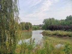 -淇河国家湿地公园