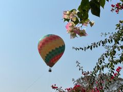 -中国科学院西双版纳热带植物园