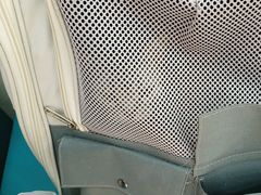 -天宠宠物医院24小时·急重症诊疗中心·全科·腔镜特色(和平分院)