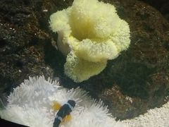 -苏州海洋馆