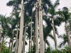 -荔枝公园(福田区)
