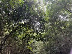 -梦姑塘文化公园