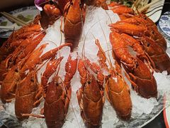 -京悦南门涮羊肉·羊蝎子火锅(田林路店)