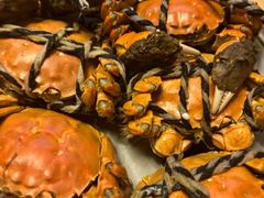 -菊上料理(蜀山银泰百货店)