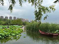 -前关湿地公园